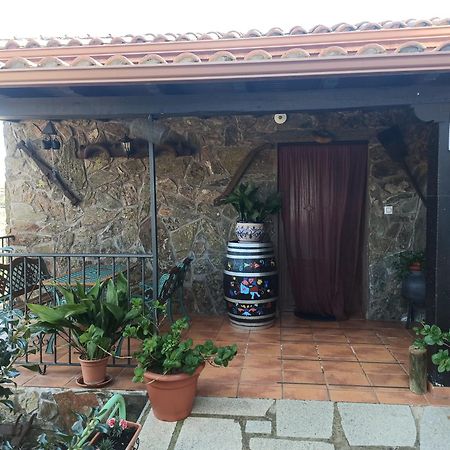 Casa Rural Los Olivos Sotoserrano 外观 照片