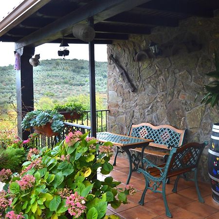Casa Rural Los Olivos Sotoserrano 外观 照片