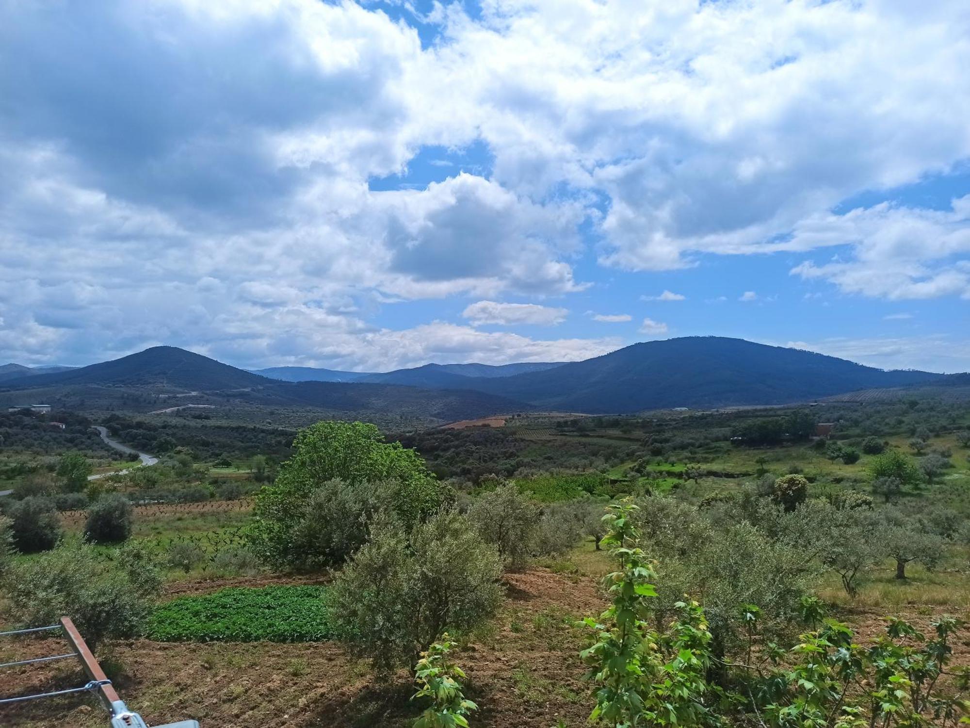 Casa Rural Los Olivos Sotoserrano 外观 照片