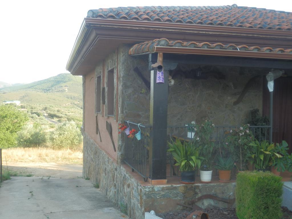 Casa Rural Los Olivos Sotoserrano 外观 照片